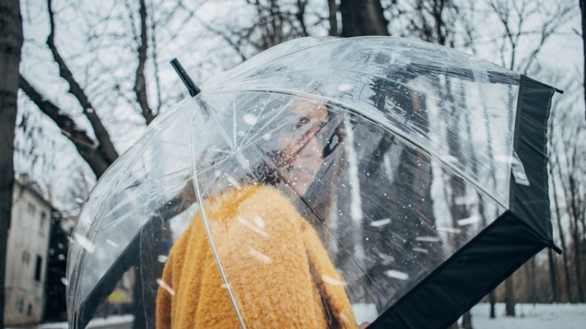 Regenschirm-transparent